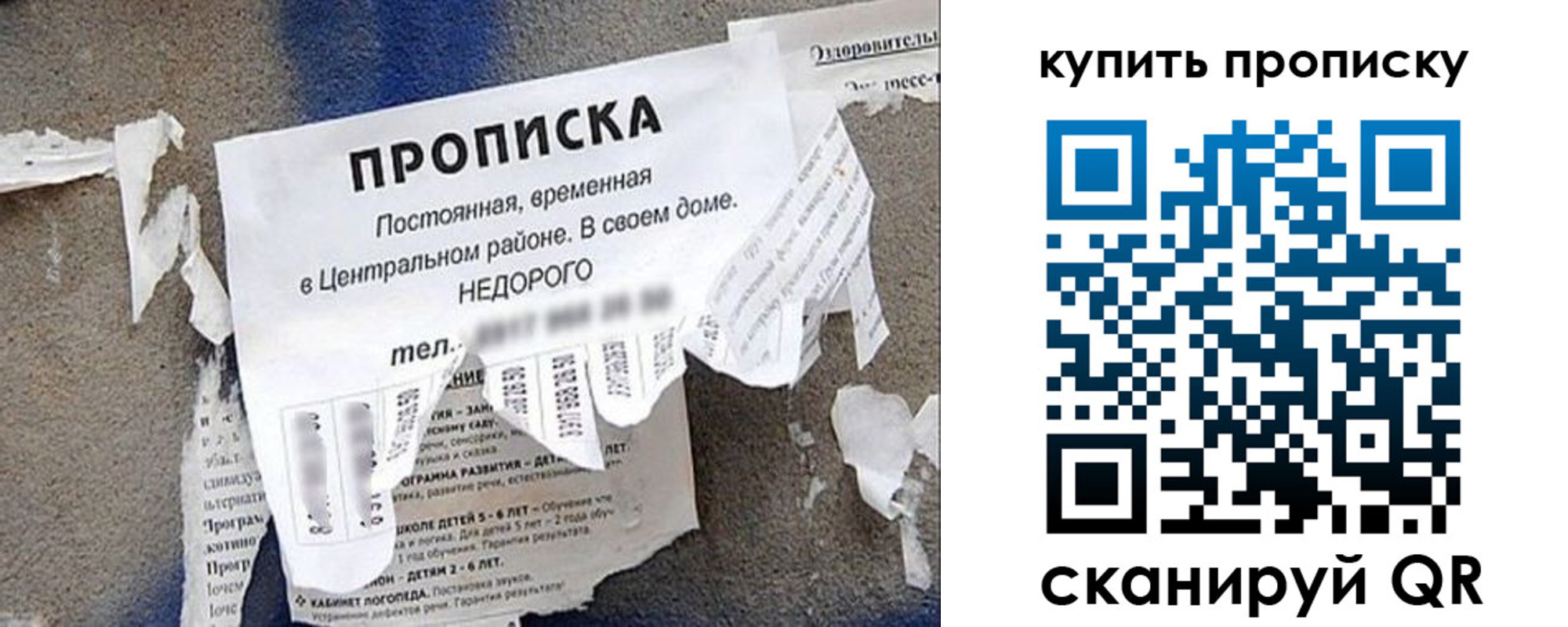 найти адрес прописки в Пионерском